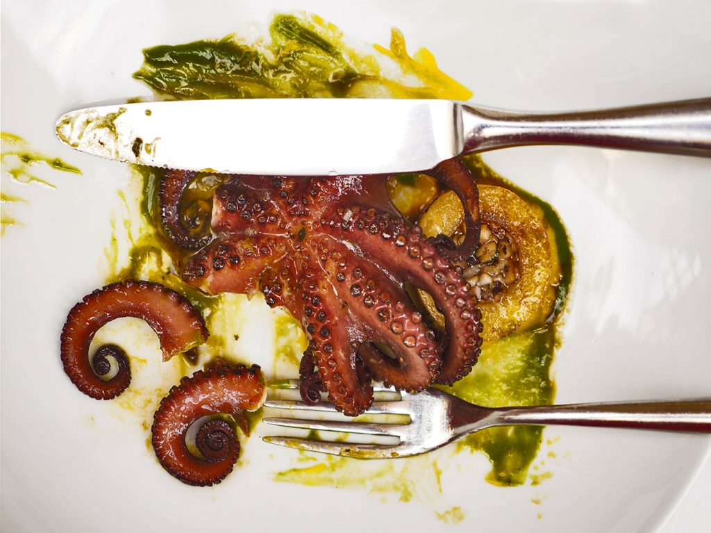 Still life, food photography